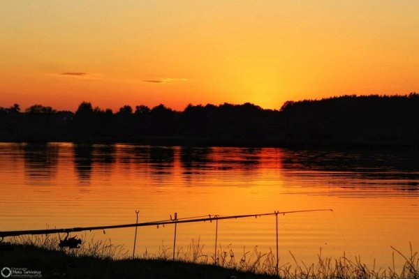 Максим Тарківський 22 «лайки»